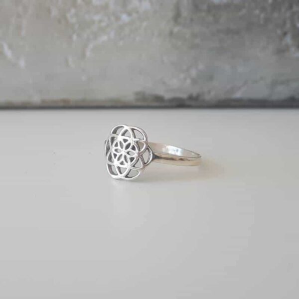 Bague graine de vie argent