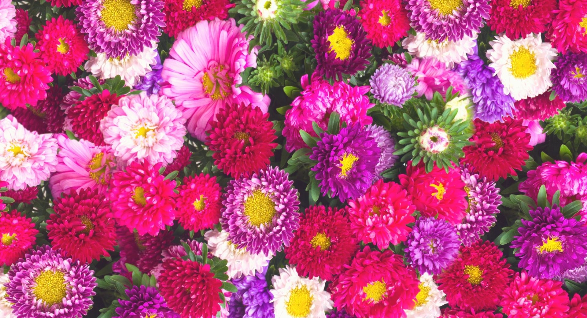 Ventes privées bijoux OMYOKI