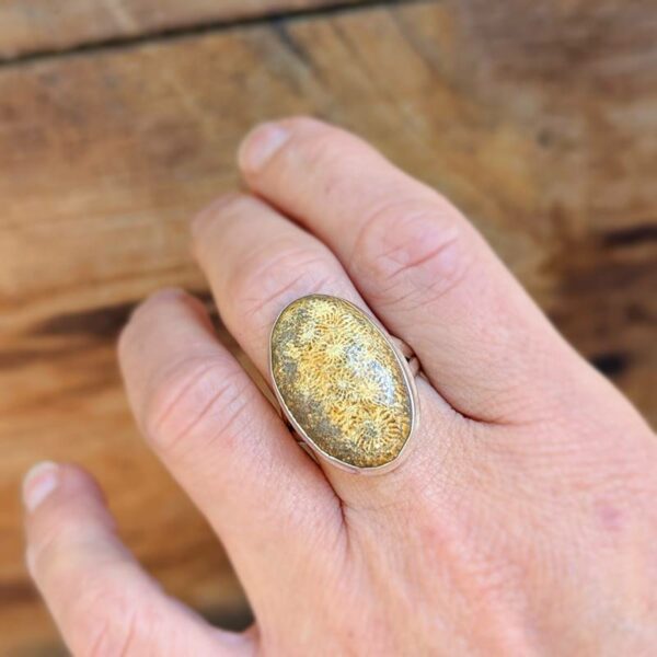 Bague corail fossile argent