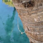 Collier argent et agate mousse